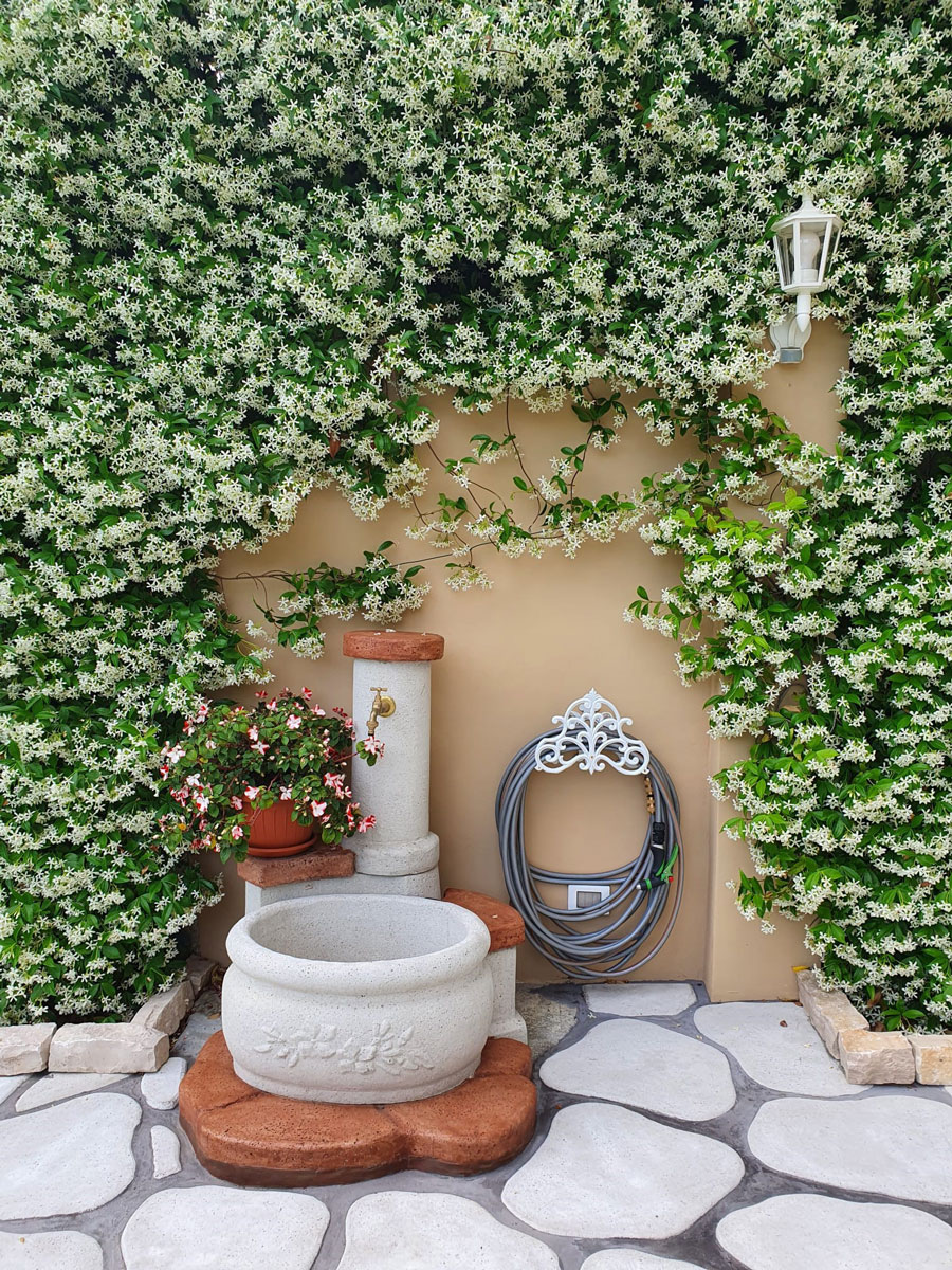 fontana azalea e piastre pedonali, col. bianco, cod. 03FAZGB, località: La Spezia