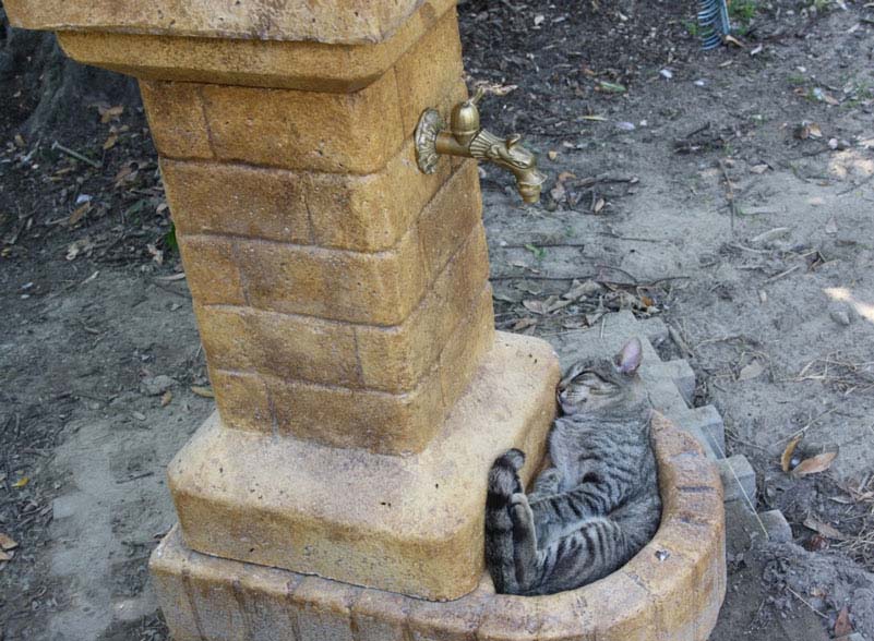 fontana fiorita col. old stone, cod. 03FFOS, località: Valli di Chioggia (Venezia)