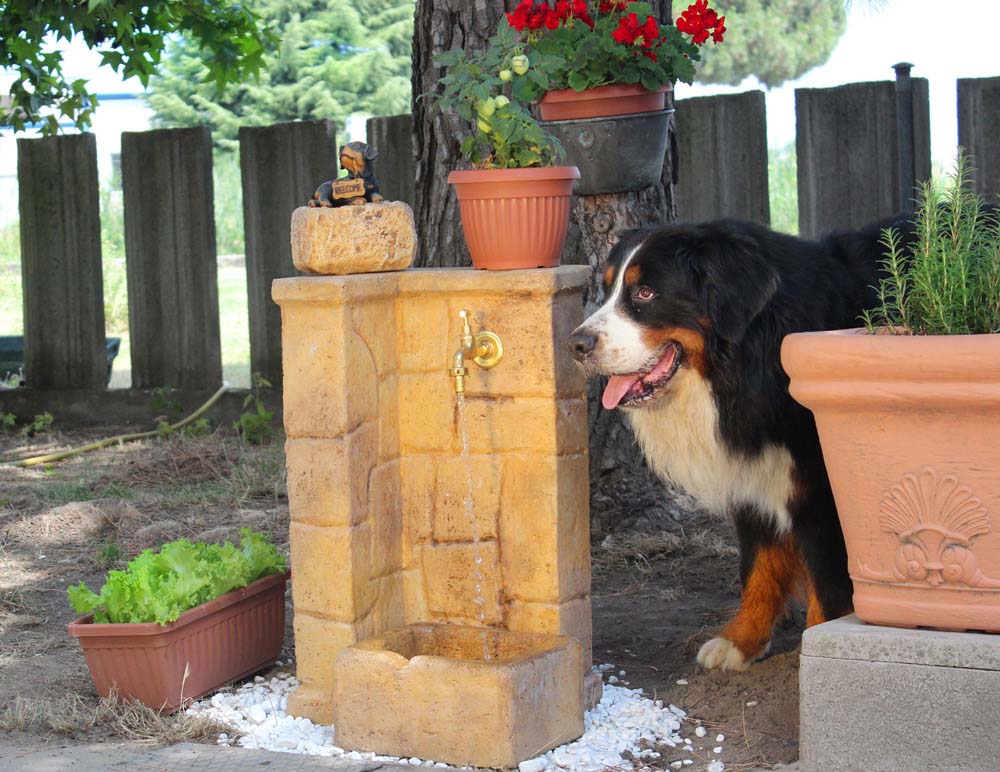 fontana fonte antica easy col. old stone, cod. 03FOAEOS, in compagnia di Cris! Località: Rovigo